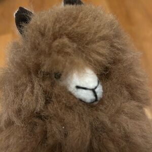 Adorable stuffed alpaca - super soft!   Bought at alpaca store